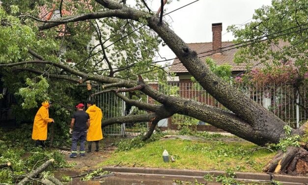 El Municipio ya atendió y solucionó más de 200 contingencias tras el temporal