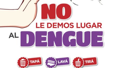 Dengue: instan a reforzar las medidas de prevención y cuidado en los domicilios
