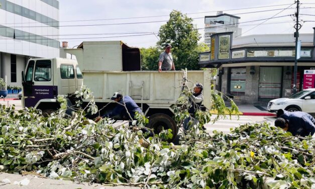 El Municipio sigue trabajando intensamente para normalizar la situación tras el temporal