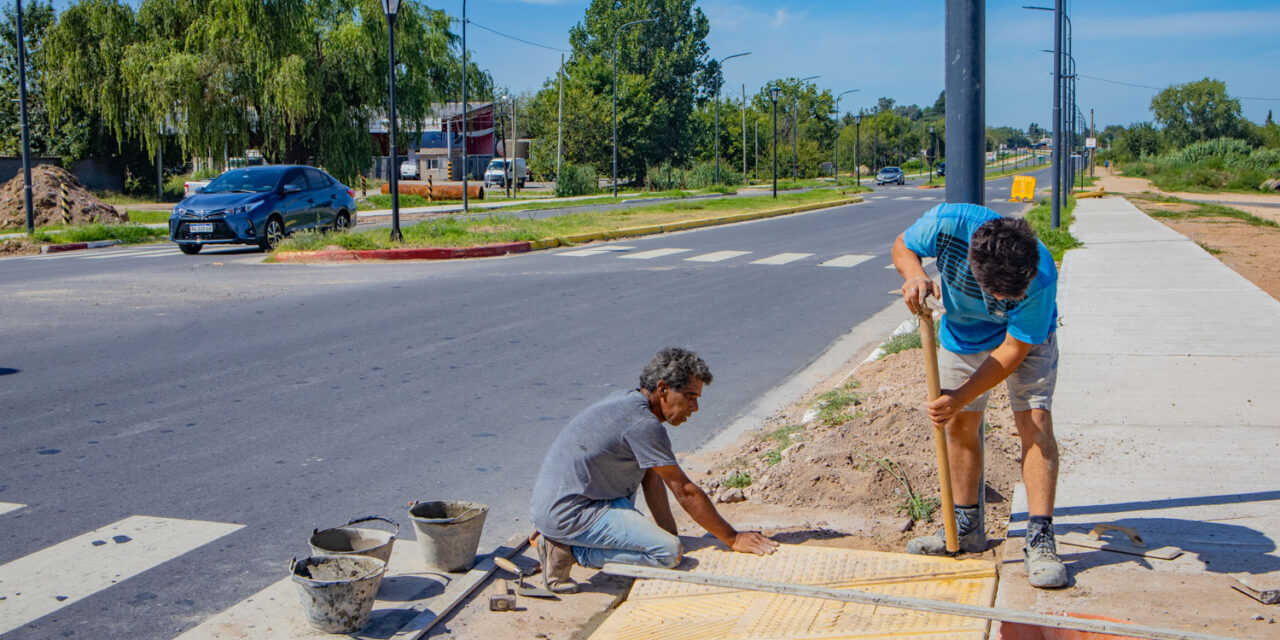 Avenida Alfonsín: ahora el Municipio construye las rampas de acceso a las veredas