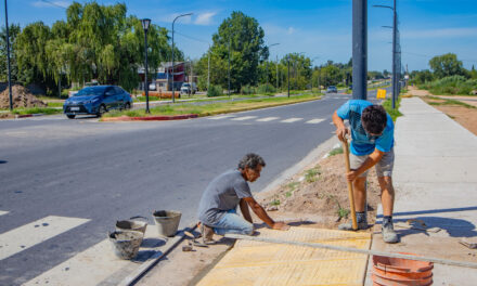 Avenida Alfonsín: ahora el Municipio construye las rampas de acceso a las veredas