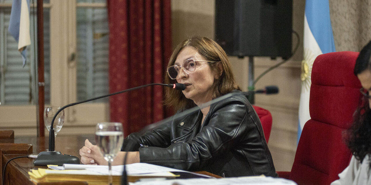 Sala : “El kirchnerismo está usando las bancas del HCD para hacer circo en vez de hacerlo para trabajar por los vecinos”