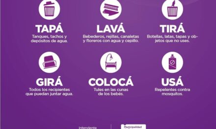 Dengue: “Este es el momento para sacar al mosquito transmisor de las casas”