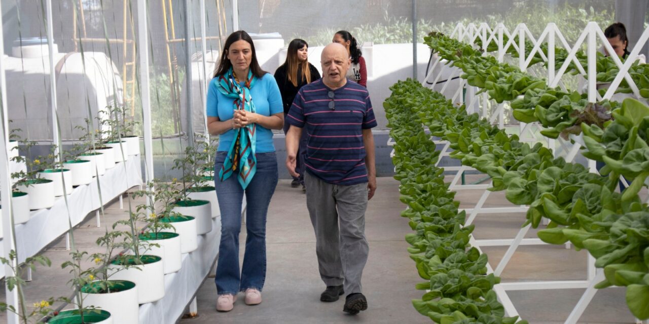 Nueva cosecha de hortalizas en la Huerta Hidropónica de Casa Esperanza