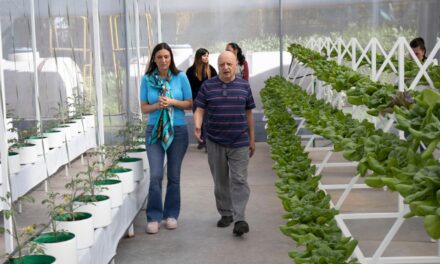 Nueva cosecha de hortalizas en la Huerta Hidropónica de Casa Esperanza