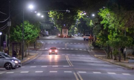 El boulevard Dellepiane también luce de punta a punta luminaria LED