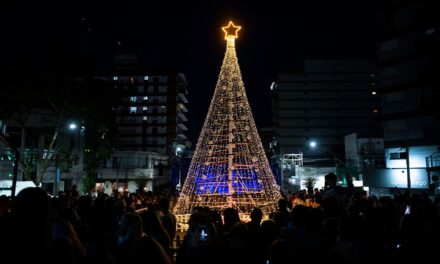 Hoy se encenderá el árbol de Navidad de la ciudad