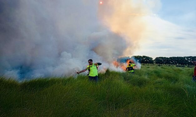 Defensa Civil y Bomberos mitigaron incendios de gran magnitud en Río Luján