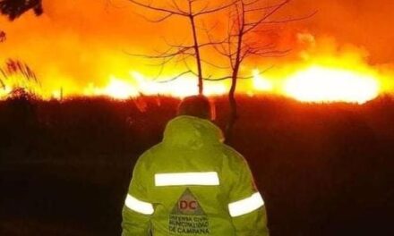 Defensa Civil colaboró en la extinción de un importante incendio forestal sobre la ruta 12