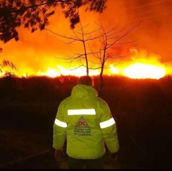 Defensa Civil colaboró en la extinción de un importante incendio forestal sobre la ruta 12