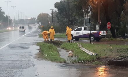 Rápida respuesta de los equipos municipales ante las intensas lluvias