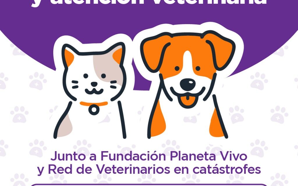 San Cayetano: este sábado habrá una jornada especial de castración y atención a mascotas