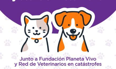 San Cayetano: este sábado habrá una jornada especial de castración y atención a mascotas