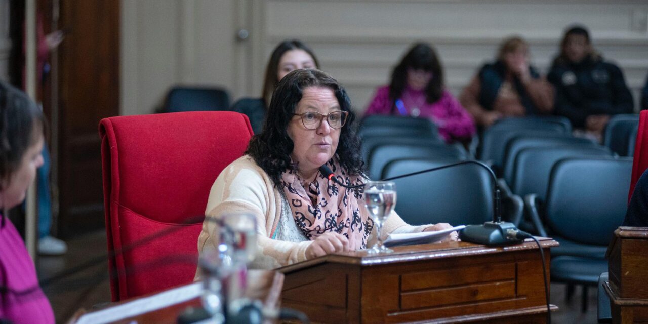 El H.C.D realizó su primera sesión ordinaria de junio