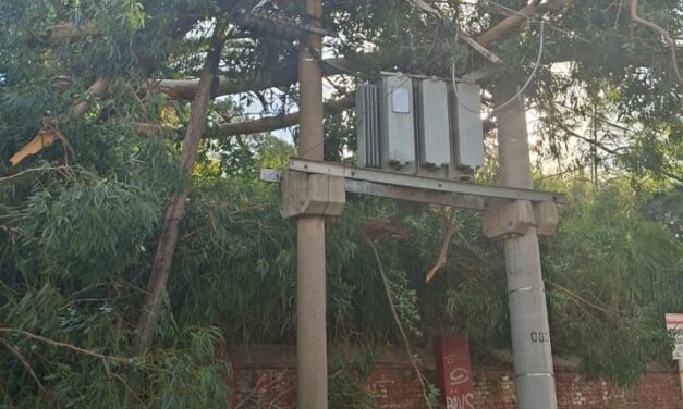CAYÓ UN ÁRBOL SOBRE UN TRANSFORMADOR DE EDEN Y DEJÓ UN SECTOR DEL CENTRO DE CAMPANA SIN ELECTRICIDAD