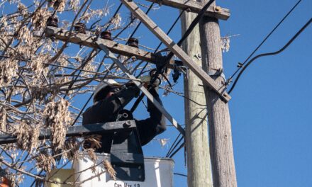 MODERNIZACIÓN DE RED: EDEN CONCRETÓ UNA IMPORTANTE OBRA EN EL BARRIO SANTA LUCÍA