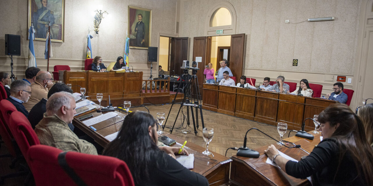 El H.C.D reconoció el desempeño de la nadadora Agostina Hein